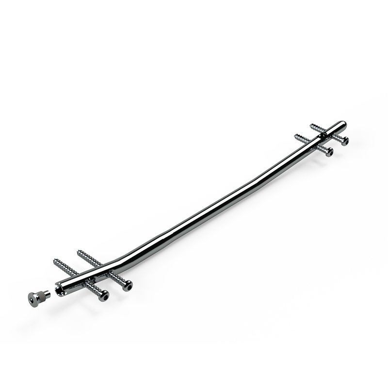 Haste Intramedular Bloqueada