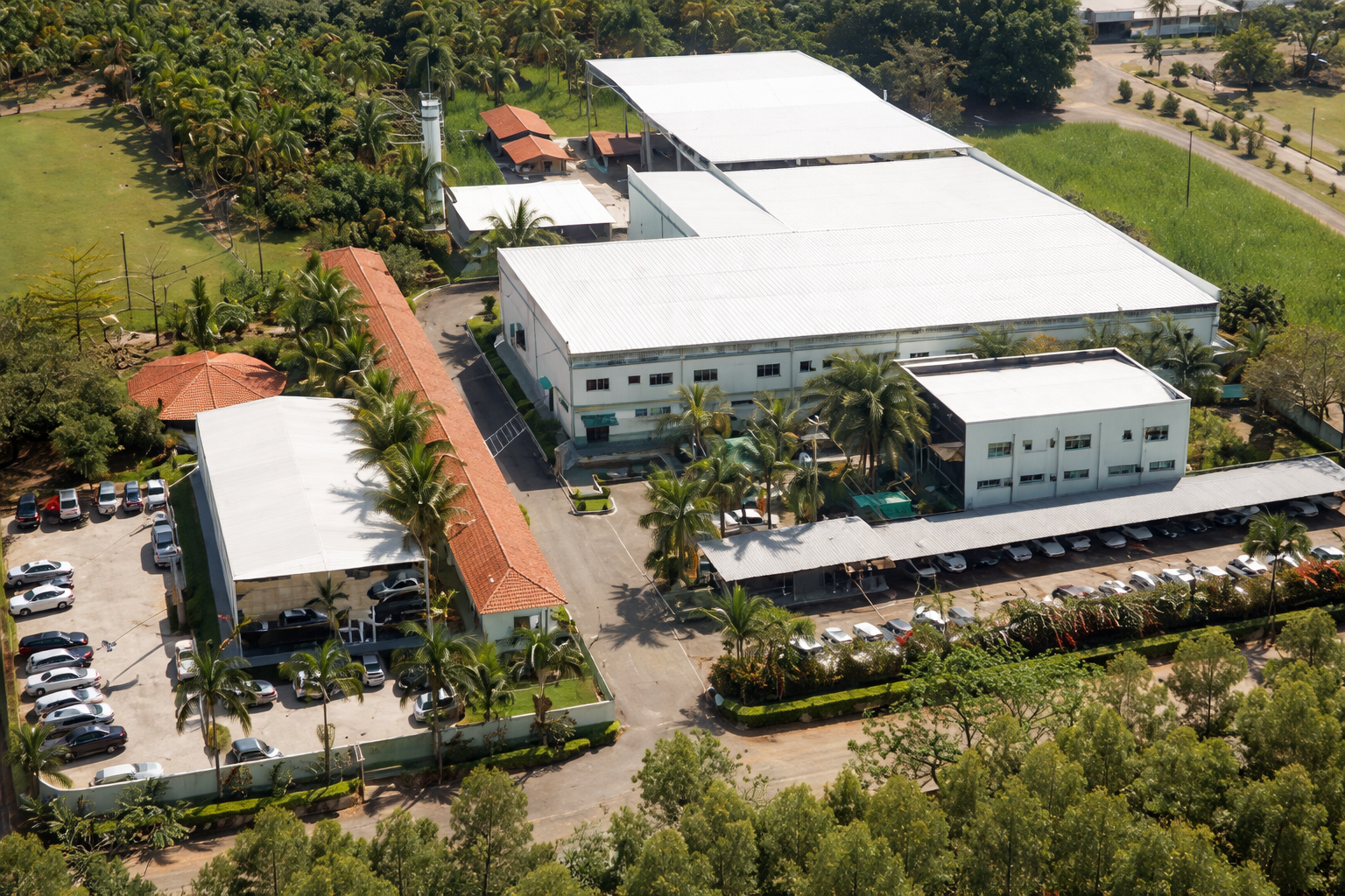 Conheça mais sobre nós